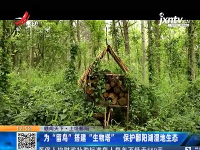 【赣闻天下】上饶鄱阳：为“留鸟”搭建“生物塔” 保护鄱阳湖湿地生态