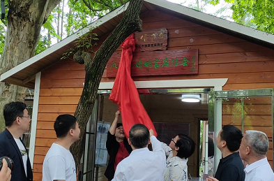 快来看看！九江甘棠公园婚恋角已正式启动