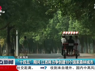 “十四五”期间 江西将力争创建10个国家森林城市