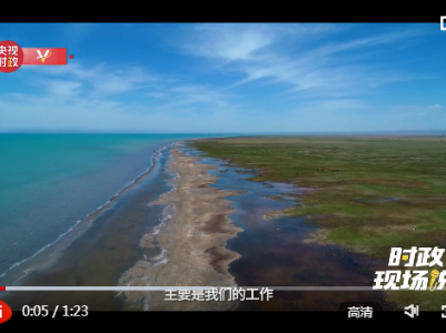 时政现场说丨保护青海湖生态 守护我们自己的家园