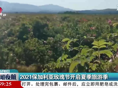 2021保加利亚玫瑰节开启夏季旅游季