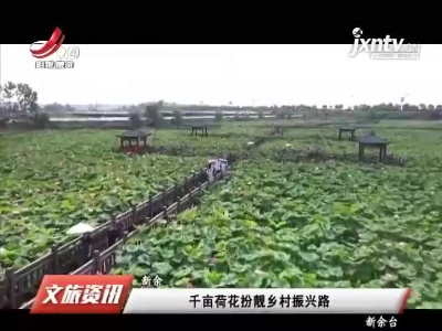 新余：千亩荷花扮靓乡村振兴路