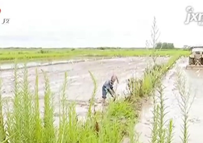 【聚焦“放管服”改革 曝光“怕慢假庸散”】鹰潭余江：给村集体购买农机 探索致富新模式