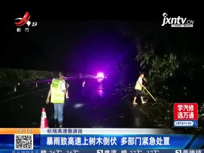 杭瑞高速婺源段：暴雨致高速上树木倒伏 多部门紧急处置