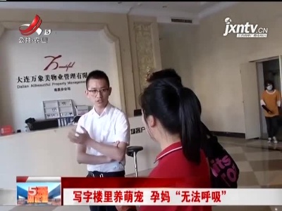 写字楼里养萌宠 孕妈“无法呼吸”