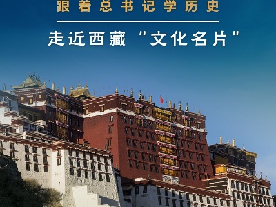 鉴往知来，跟着总书记学历史丨保护西藏优秀传统文化，总书记为何如此关注？
