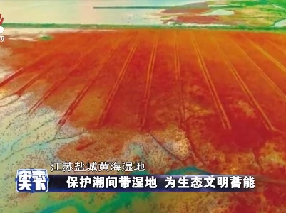 杂志天下20210721