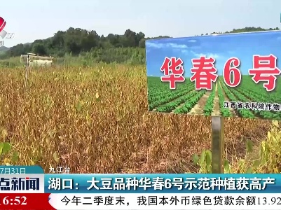 湖口：大豆品种华春6号示范种植获高产