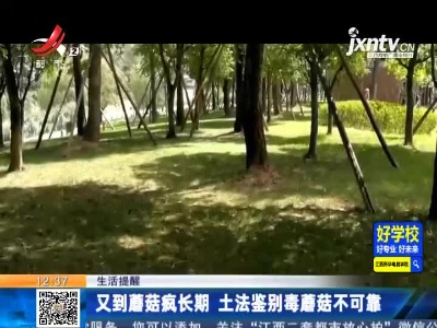 【生活提醒】又到蘑菇疯长期 土法鉴别毒蘑菇不可靠