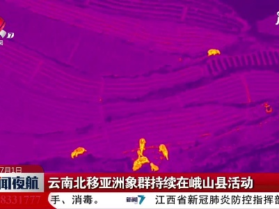 云南北移亚洲象群持续在峨山县活动