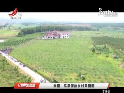 吉安永新：瓜果催热乡村采摘游