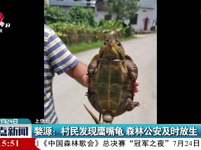 婺源：村民发现鹰嘴龟 森林公安及时放生