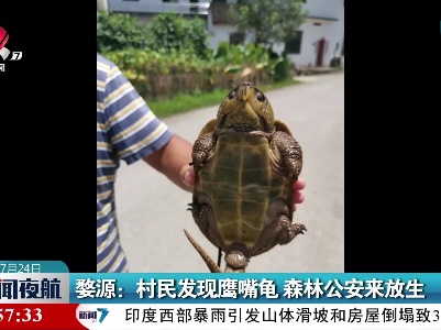 婺源：村民发现鹰嘴龟 森林公安来放生