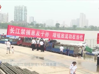 上饶市向信江增殖放流1.1亿尾鱼苗