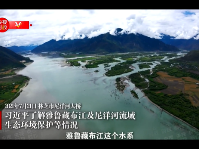 独家视频丨习近平：保护住西藏这一块“净土”
