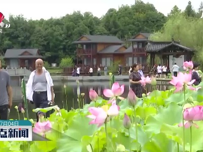 上饶：夏日荷花别样红 乡村美景醉游人
