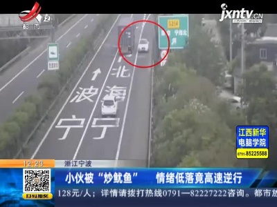 浙江宁波：小伙被“炒鱿鱼” 情绪低落竟高速逆行