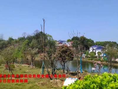 湘东篇：党的秘密比我的性命更要紧