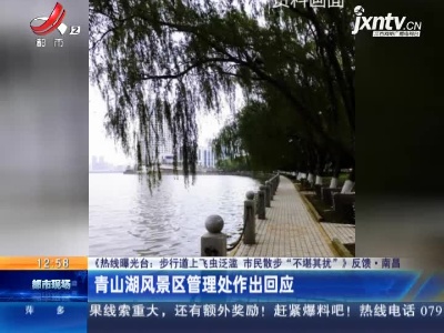 【《热线曝光台：步行道上飞虫泛滥 市民散步“不堪其扰”》反馈】南昌：青山湖风景区管理处作出回应
