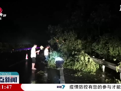 上饶：暴雨致高速上树木倒伏 交警路政紧急处置