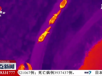 云南北移亚洲象群持续在峨山县活动