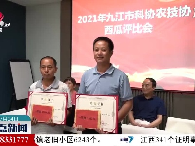 九江：西瓜评比大会 15公斤瓜王问鼎