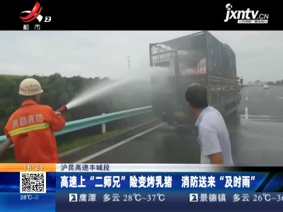 沪昆高速丰城段：高速上“二师兄”险变烤乳猪 消防送来“及时雨”