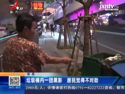 南昌：垃圾桶内一团黑影 居民觉得不对劲