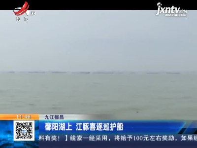 九江都昌：鄱阳湖上 江豚喜逐巡护船