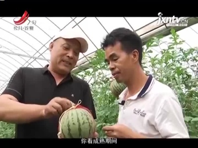 稻花香里20210705 小康路上追梦人——怎样种地更赚钱