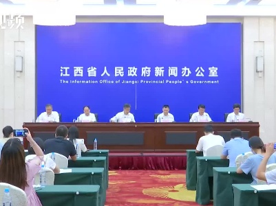 2021世界VR产业大会云峰会新闻发布会