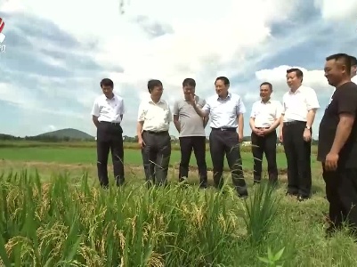 易炼红在调研粮食安全工作时强调 坚决扛稳粮食安全重大政治责任 全力巩固提升粮食安全保障水平
