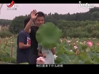 稻花香里20210716 “五美”乡村 “赣”出精彩——消暑攻略 农庄里的好日子