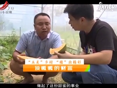 稻花香里20210709  “五美”乡村 “赣”出精彩——顶呱呱的财富