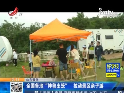 山东青岛：全国各地“神兽出笼”拉动景区亲子游