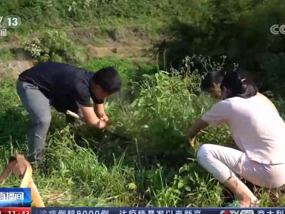 央视报道江西创业“领头雁” 看他为梦想飞跃大山
