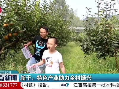 新干：特色产业助力乡村振兴