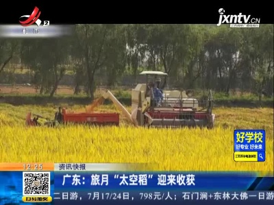 广东：旅月“太空稻”迎来收获