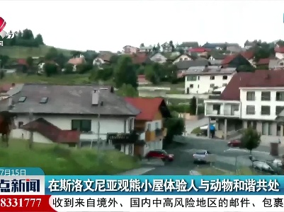 在斯洛文尼亚观熊小屋体验人与动物和谐共处