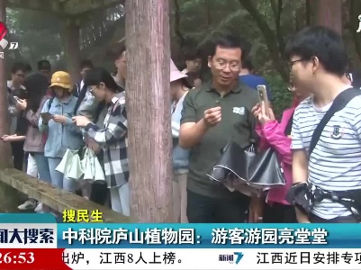 新闻大搜索20210704