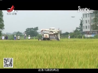 稻花香里20210729 零的突破！——中国第一个双季早粳稻品种诞生