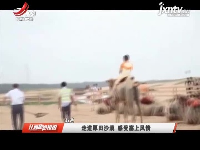 南昌：走进厚田沙漠 感受塞上风情