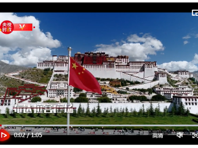 习近平西藏行丨走进布达拉宫广场 