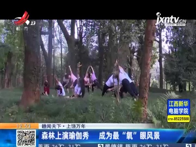 【赣闻天下】上饶万年：森林上演瑜伽秀 成为最“氧”眼风景