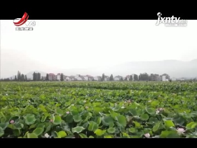 江西旅游报道20210719