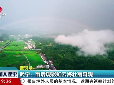 新闻大搜索20210719