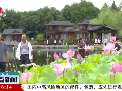 上饶：夏日荷花别样红 乡村美景醉游人
