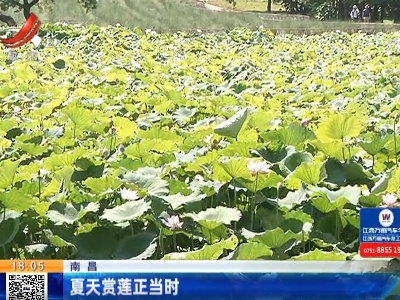 都市现场20210624