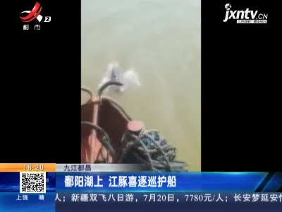 九江都昌：鄱阳湖上 江豚喜逐巡护船