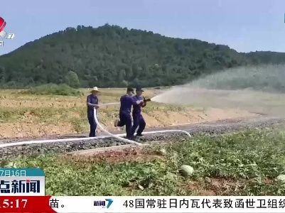 新余：30万斤西瓜缺水告急 “火焰蓝”紧急出动